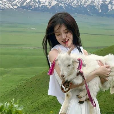 丁丁战猴王